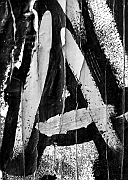 Wall_Art_Alphabet_Photography_Art_ 109